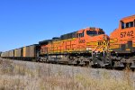 BNSF 5665 Roster shot